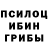 Псилоцибиновые грибы Cubensis Cate Person