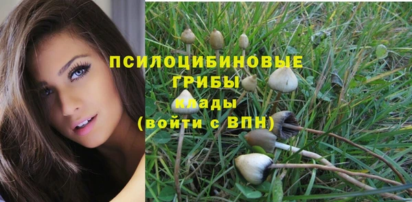 хмурый Михайловск