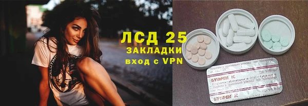 кокс Михайлов