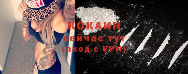 кокс Михайлов
