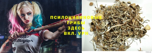 ешки Надым