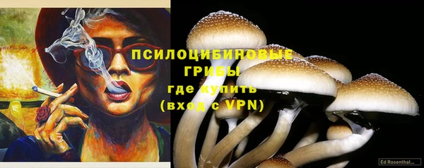 кокс Михайлов