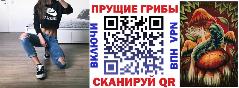 Псилоцибиновые грибы прущие грибы Ирбит