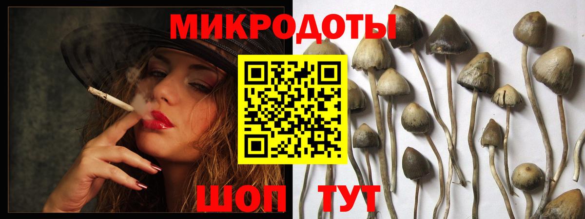 Псилоцибиновые грибы Magic Shrooms Ирбит