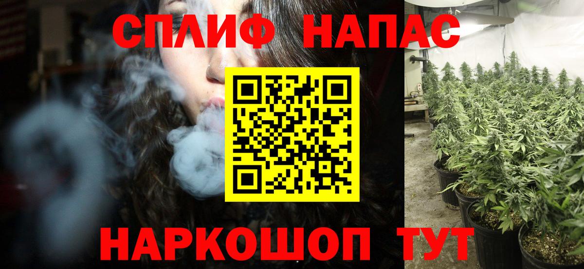 Конопля планчик  Ирбит  МАРИХУАНА White Widow  МАРИХУАНА семена  Марихуана MAZAR 